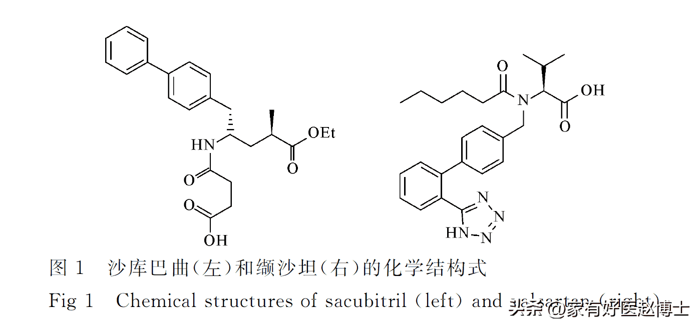 最新高血压指南：新增一种一线降压药！它有何优势？需要换药吗？